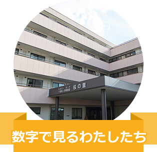 数字で見るわたしたち
