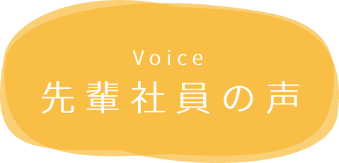 先輩社員の声